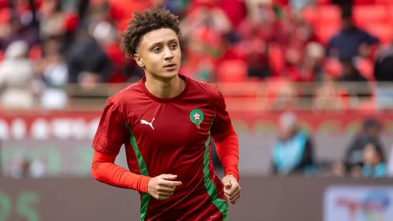 世界杯直播app官方下载安装-点赞塞内加尔球员庆祝非洲杯夺冠，多名摩洛哥国脚公开道歉